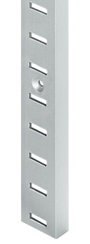Shelf support strip, aluminium, for screw fixing Shelf support strip, aluminium, for screw fixing